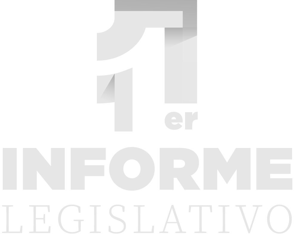 Logo 1er Informe